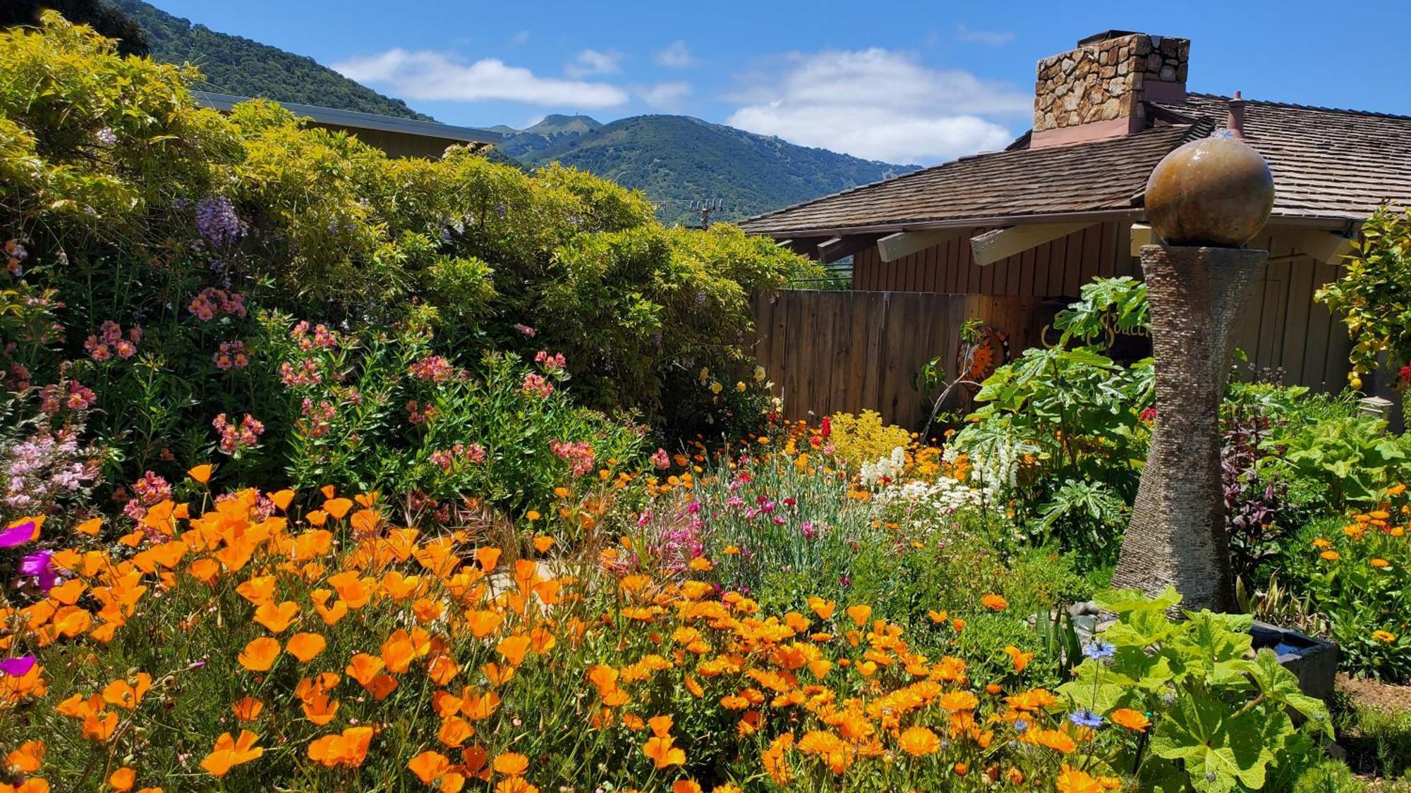 Carmel Valley Lodge Luaran gambar