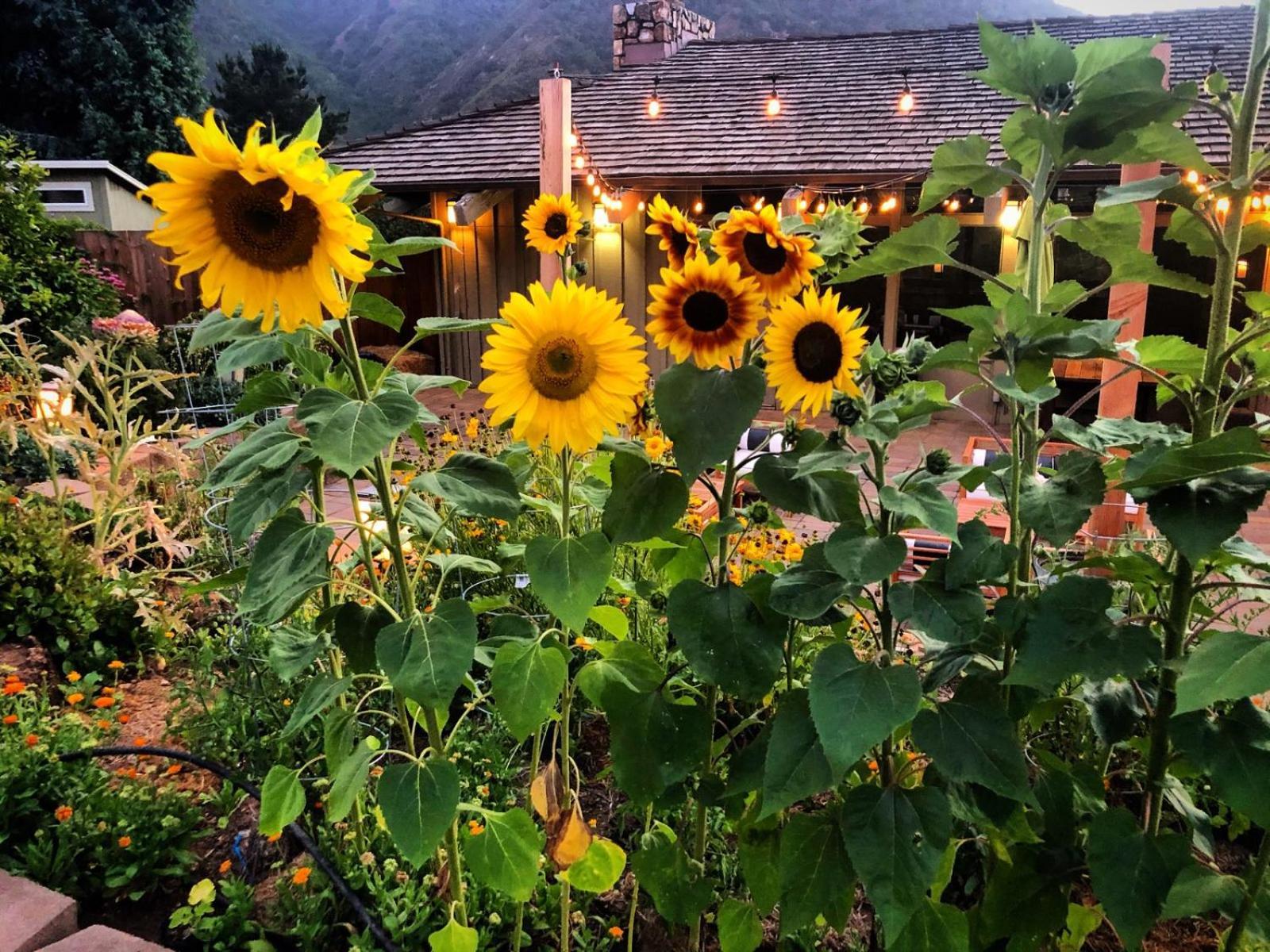 Carmel Valley Lodge Luaran gambar